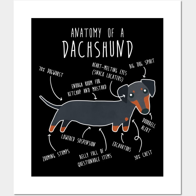 Black and Tan Dachshund Dog Anatomy Wall Art by Psitta